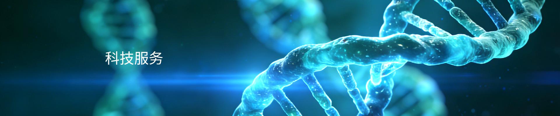 科技服务