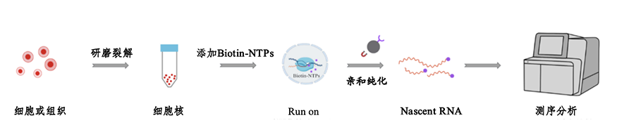 生物信息学分析