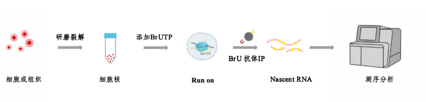 1774513241577871.gif image.gif