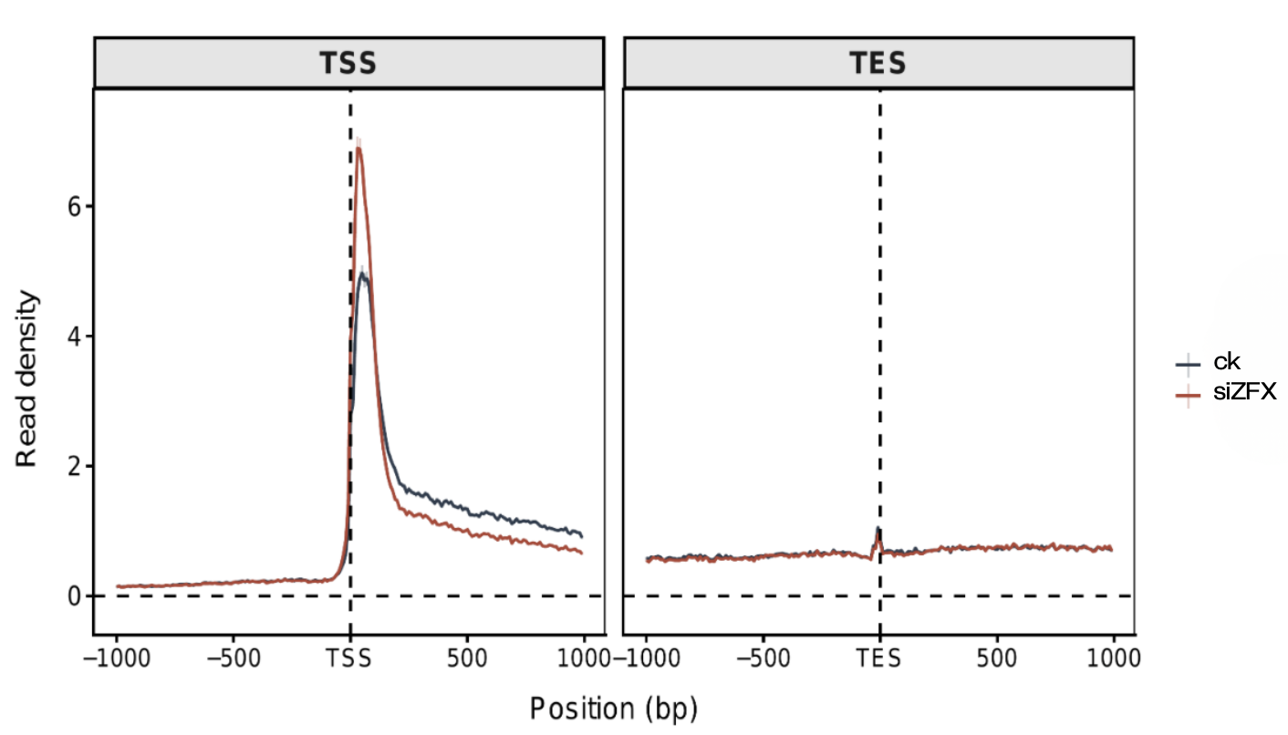 1774595812978098.png image.png