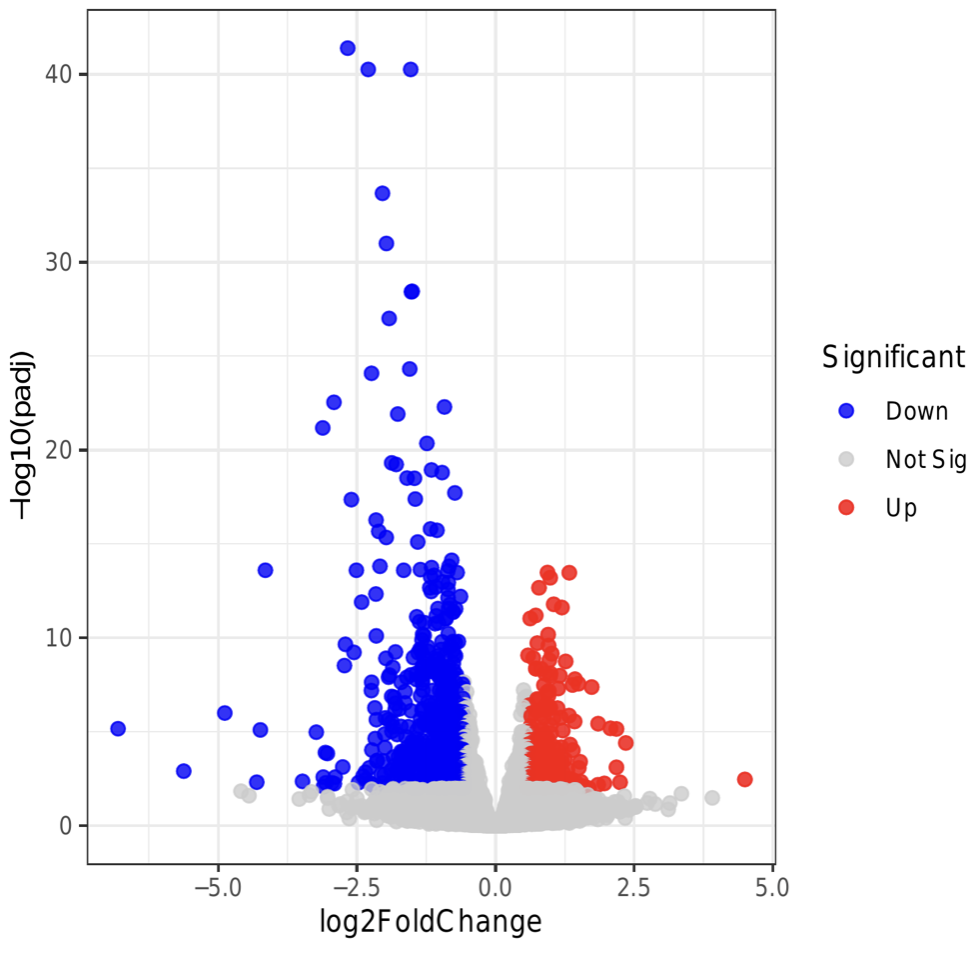 1774599191647465.png image.png