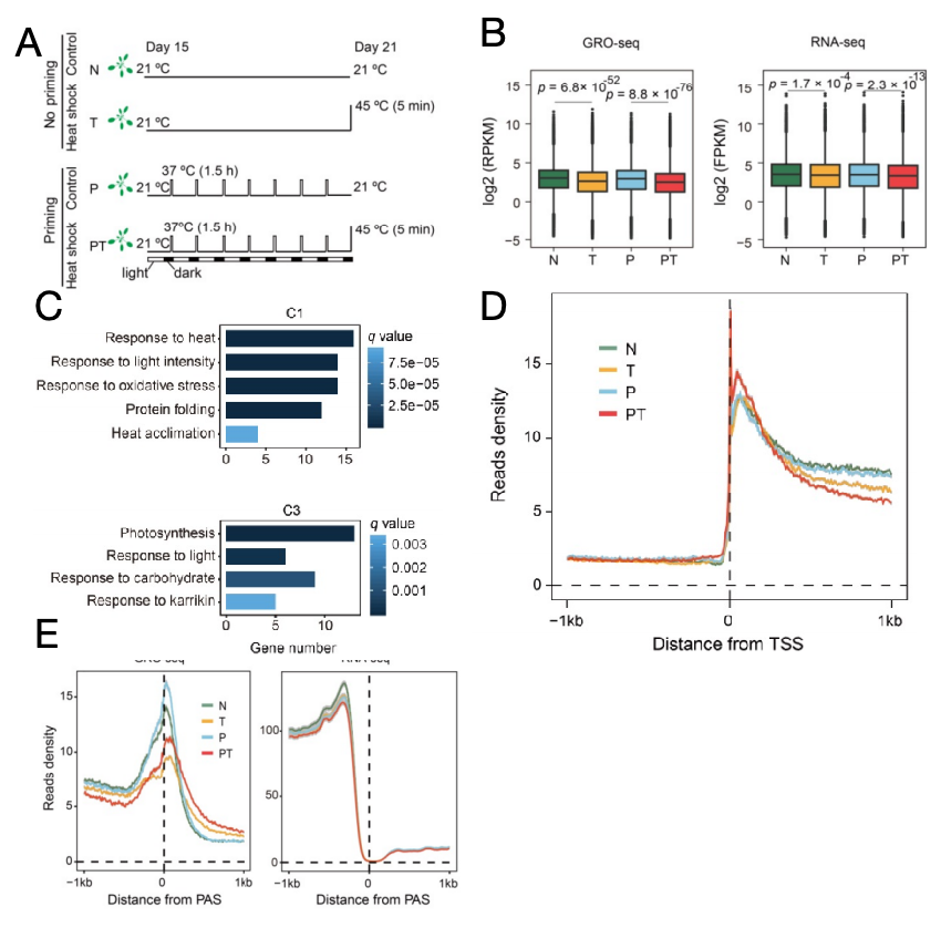 1774599676224695.png image.png