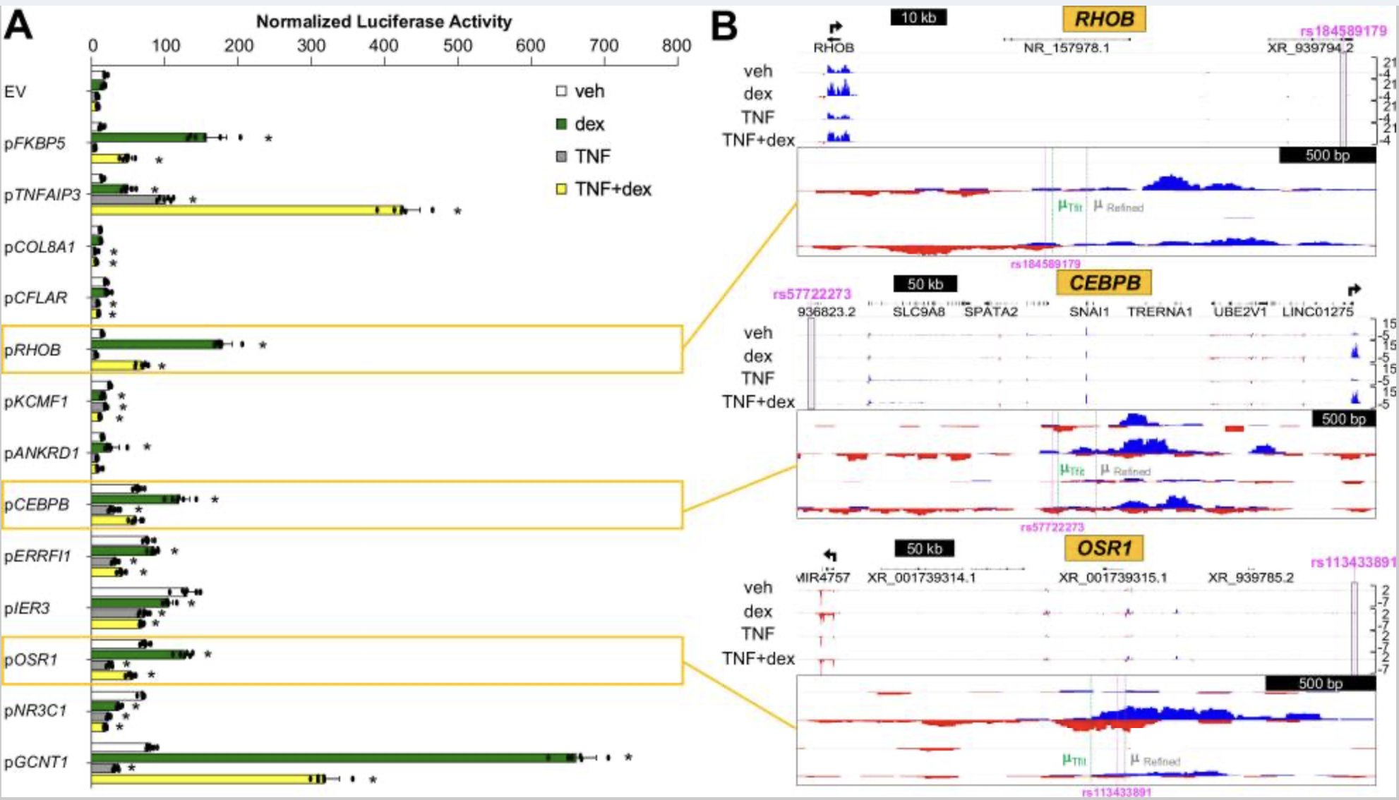 1774600819503837.png image.png