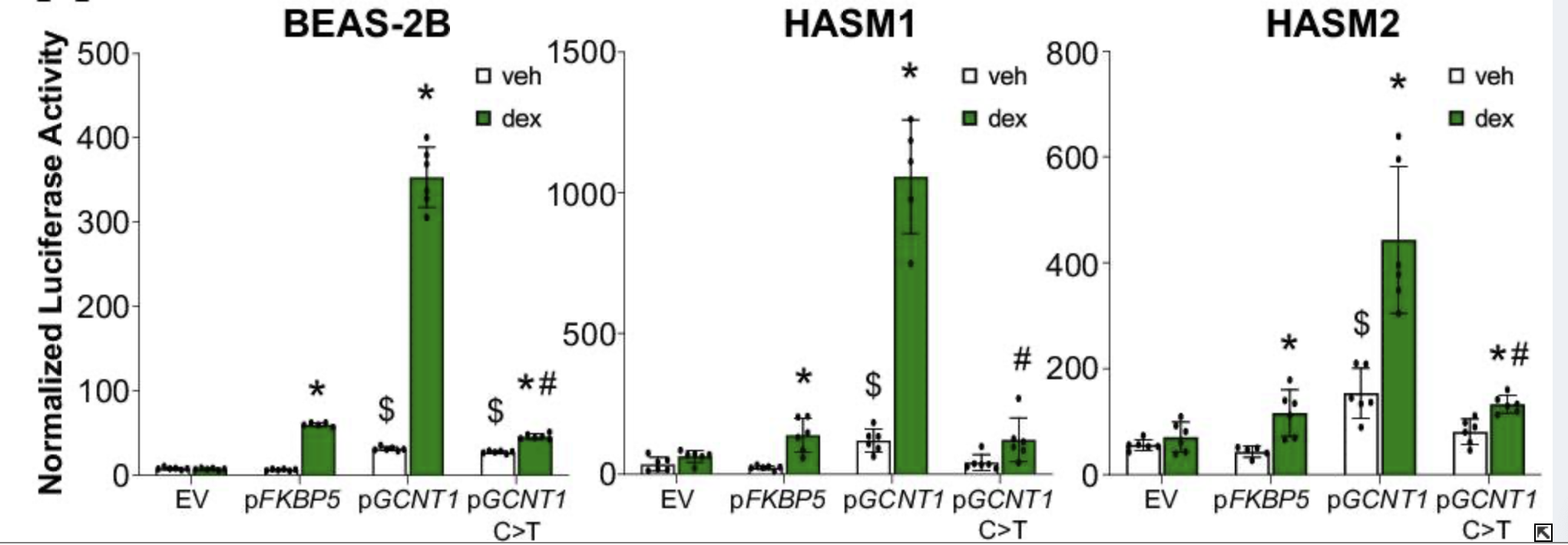 1774600871777978.png image.png