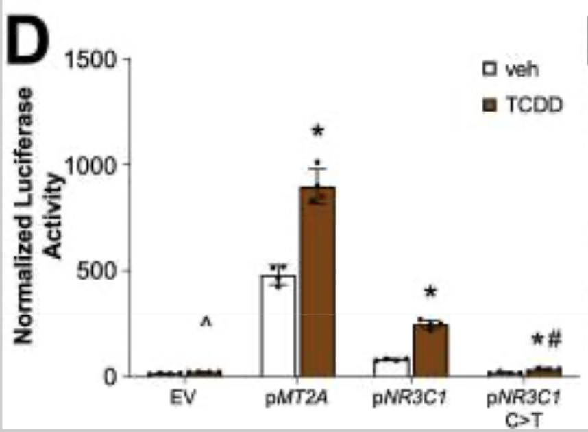 1774600914134227.png image.png